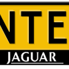 Jaguar-streep-kentekenplaathouder